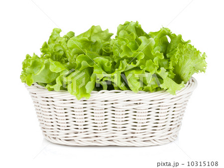 Lettuce in basket 10315108