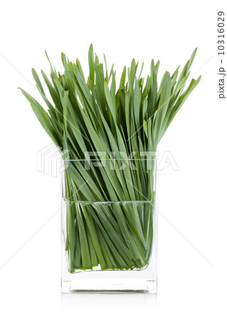 Green grass in glass vase Green grass in glass vase 10316029
