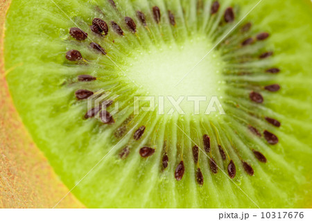Macro food collection - Kiwi. 10317676
