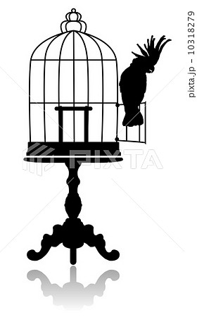 Birdcage 10318279