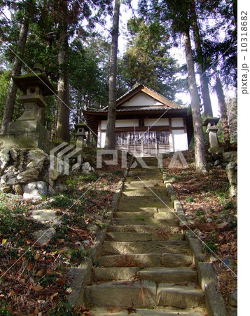 村の鎮守様 10318682