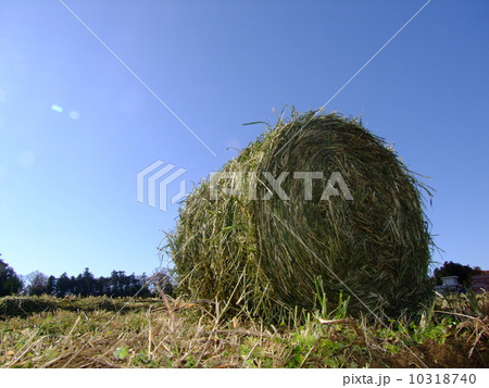 牧草刈り 10318740