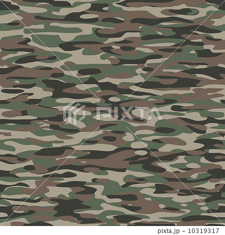 Camouflage Textile Pattern 10319317