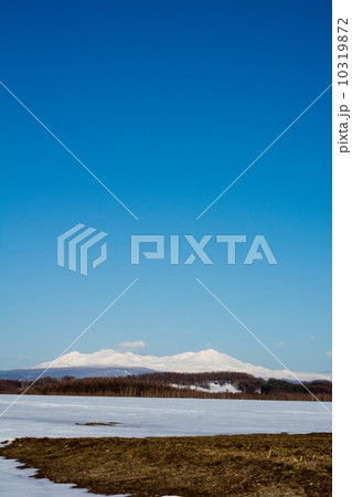 早春の大雪山連峰 10319872