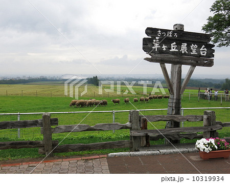 さっぽろ羊ヶ丘展望台 さっぽろ羊ヶ丘展望台 10319934