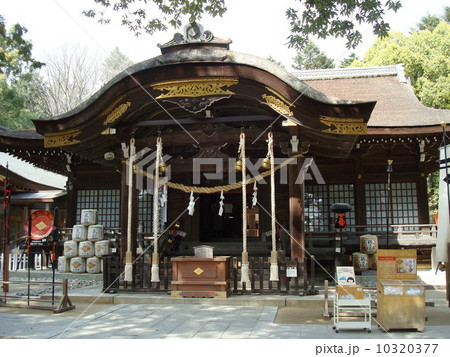 甲府市の武田神社（拝殿） 10320377