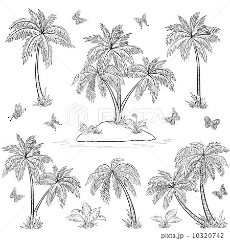 Tropical island, palms and butterflies outline 10320742