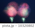 花火 10320802