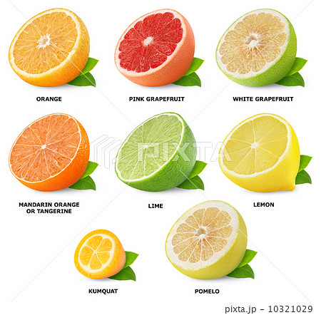 Citrus fruits collection Citrus fruits collection 10321029