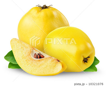 Quince Quince 10321076