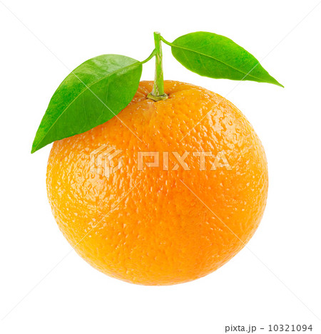 Orange Orange 10321094