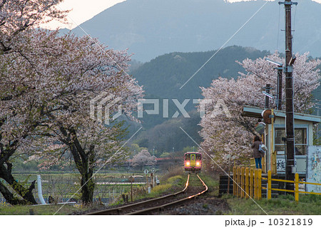春の樽見鉄道 春の樽見鉄道 10321819