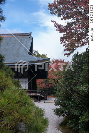 京都大宮御所御常御殿と南庭 10321825