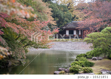 仙洞御所 南池の紅葉 仙洞御所 南池の紅葉 10321851