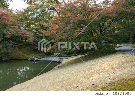 仙洞御所　北池の船着き場 10321906