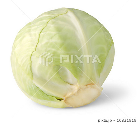 Cabbage 10321919