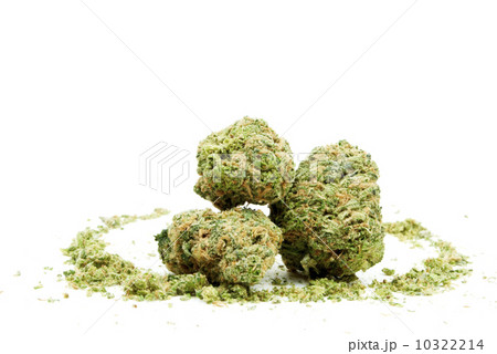 Marijuana Marijuana 10322214