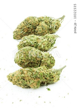 Marijuana Marijuana 10322335