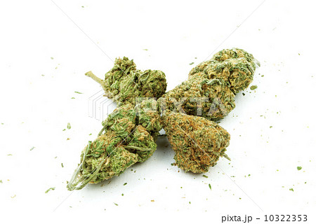 Marijuana  10322353