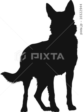 German Shepherd Silhouette German Shepherd Silhouette 10322944