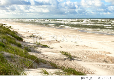 Sand beach on Baltic sea 10323003