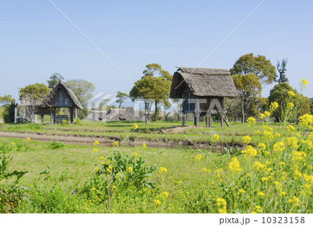 平塚川添遺跡公園 平塚川添遺跡公園 10323158