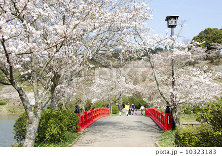 木公園の昭栄橋 10323183