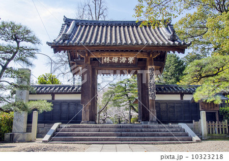 江南山梅林寺山門 10323218