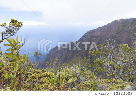 カウアイ島のホノプ渓谷 カウアイ島のホノプ渓谷 10323602