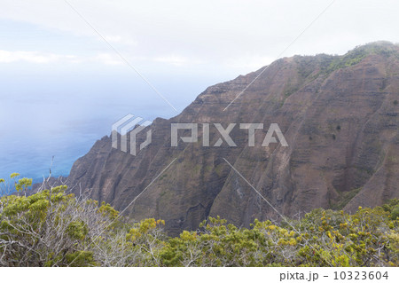 カウアイ島のホノプ渓谷 10323604