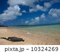 久米島 10324269