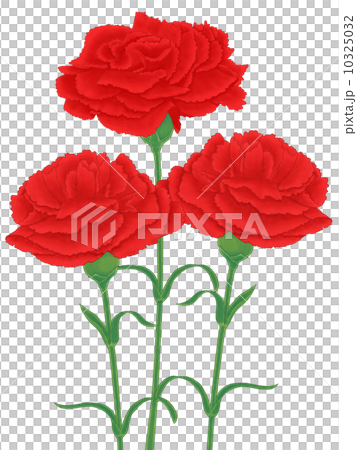 康乃馨三重 10325032