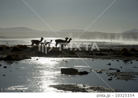 アルティプラーノ平原のアクアス・テルマエ温泉 10325354