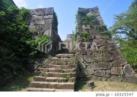 福岡城10 10325547