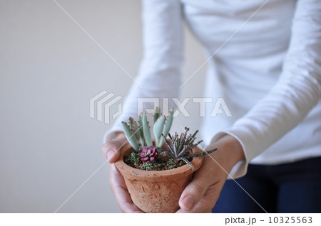植物を持つ女性 10325563