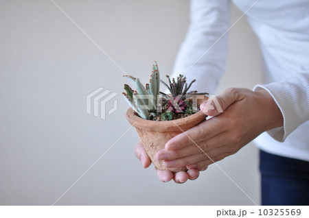 植物を持つ女性 10325569