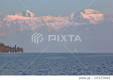 sailing boat on the lake Thun, Switzerland 10325668