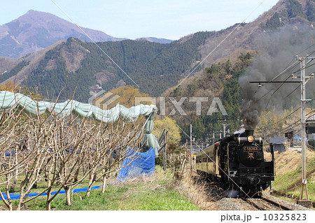秩父鉄道「春の奥秩父を走るSLパレオエクスプレス号」 10325823
