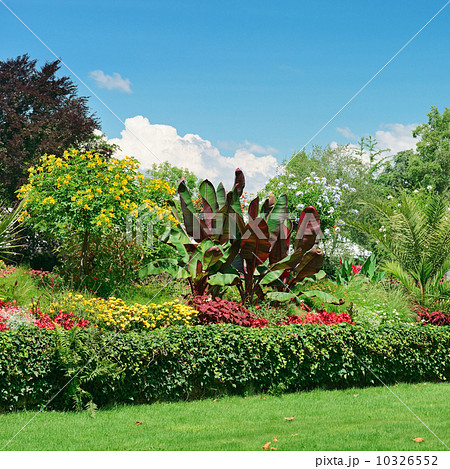 picturesque lawn in the park 10326552