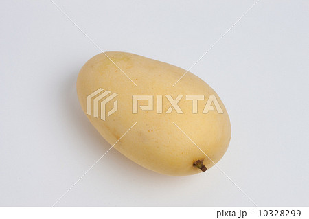 マンゴー マンゴー 10328299