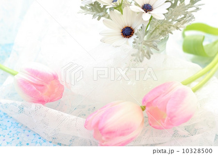 春の花 10328500