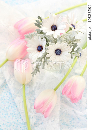 春の花 10328504