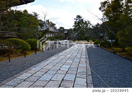 広隆寺の境内(京都市右京区太秦蜂岡町) 広隆寺の境内(京都市右京区太秦蜂岡町) 10329045