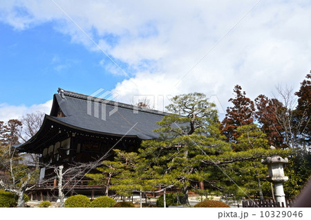 広隆寺の「上宮王院」（京都市右京区太秦蜂岡町） 10329046