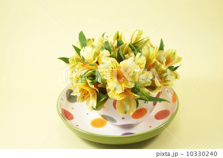 黄色のアストロメリア 10330240