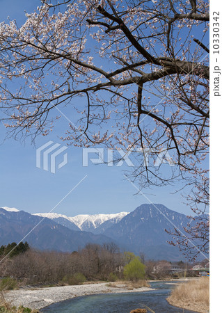 安曇野の春 10330342
