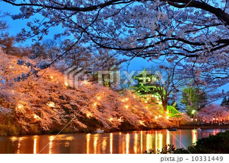 高田城 満開のソメイヨシノ 高田城 満開のソメイヨシノ 10331449