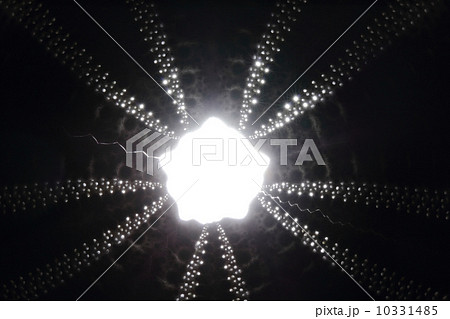 Close up abstract great skeleton of sea shell Close up abstract great skeleton of sea shell 10331485