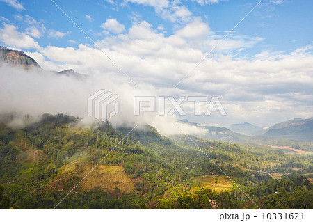 Mountains in Sri Lanka 10331621