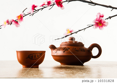 うめ 春告草 ソシンロウバイ 10331828